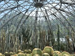 -深圳仙湖植物园