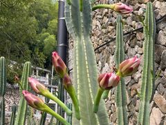 -MOJ coffee(瓯海泽雅水碓坑店)