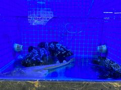 -鑫鸿达·海鲜闽菜热炒小馆(中山路店)