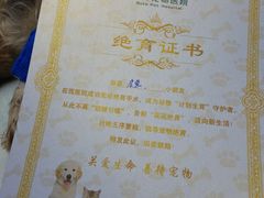 -博特宠物医院24h犬猫全科.骨科·异宠