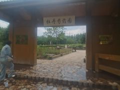 -黑龙江省森林植物园