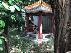 -小洲村