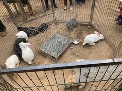 -呀路古热带植物园