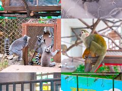 -乐和乐都主题乐园