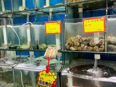 -蚝专家(北滘店)
