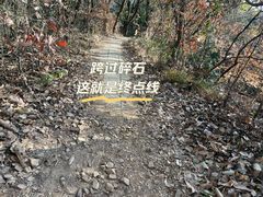 -惠山国家森林公园