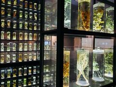 -广东中医药博物馆