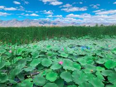 -敕勒川草原文化旅游区