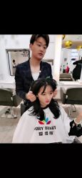 -爱维丽