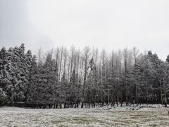 -武陵山森林公园