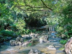 -广州市石门国家森林公园