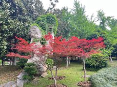 -堤角公园
