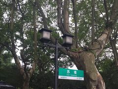 -西湖游船