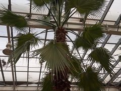 -龙达温泉生态城