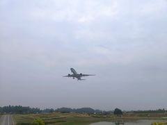 -空港花田景区