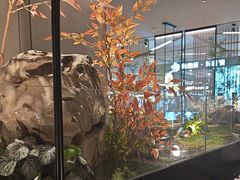 -绿茶餐厅(青岛城阳万象汇店)