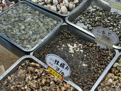 -健跳小海鲜(人民路店)