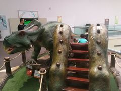 -陕西自然博物馆