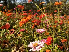 -盘龙城国家考古遗址公园