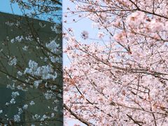 -龙美术馆(西岸馆)