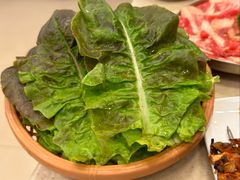 紫生菜-福云龙(黄河南大街店)