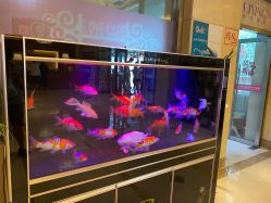 -北京俪婴妇产医院(朝阳大悦城店)