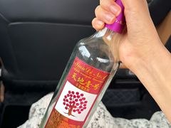 -烧鹅妹饭店