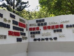 -顺峰山公园