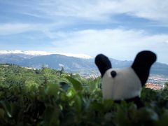 -阿尔罕布拉宫