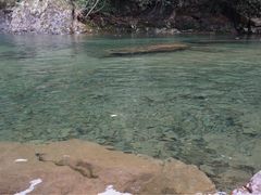 -白云源风景区