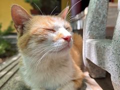 -正觉寺