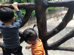 -滴水岩森林公园