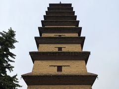 -开元寺塔