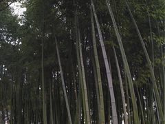 -汇龙潭