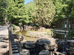 -白水寺森林公园