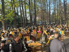 -绵阳人民公园(涪城区)
