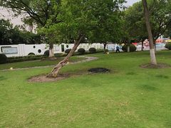 -七宝老街-闵行市民文化广场