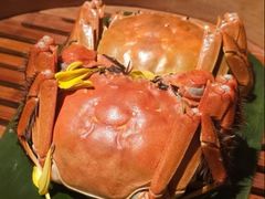 -成隆行·蟹王府(淮海店)