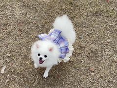 -趣多多宠物公园·宠物训犬学校·宠物寄养