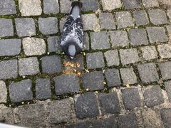 -Zum Franziskaner