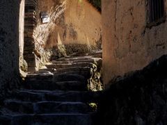 -杨家堂村