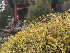 -北京市劳动人民文化宫(太庙)