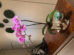 -杭州城中香格里拉大酒店