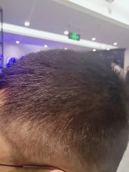 -木北造型