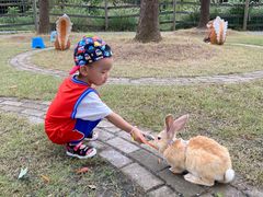 -前小桔亲子创意农场·草莓采摘·露营烧烤