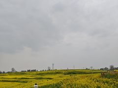 -三圣花乡旅游区