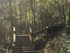-石燕湖生态旅游景区