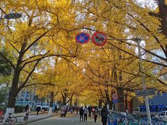 -四川大学(华西校区)