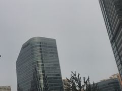 -远洋未来汇