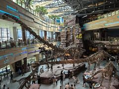 -安徽省地质博物馆